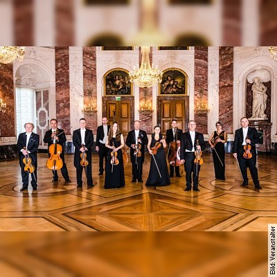 Kurpfälzisches Kammerorchester Mannheim in Überlingen am 19.11.2023 – 11:00 Uhr