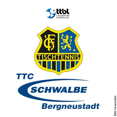 TTBL: 1. FC Saarbrücken TT - TTC Schwalbe Bergneustadt