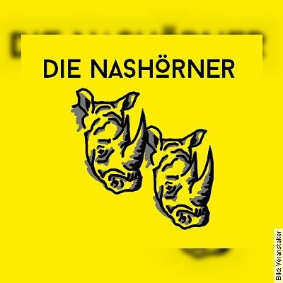 Die Nashörner in Potsdam am 06.01.2023 – 19:30 Uhr