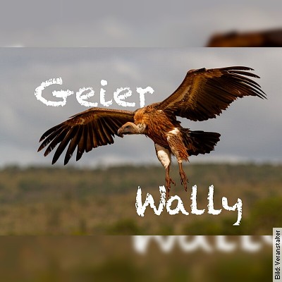 Geierwally – nach einem Roman von Wilhelmine von Hillern in Weißenburg am 23.06.2023 – 20:00 Uhr
