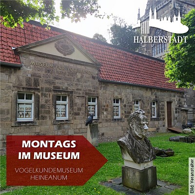 Montags im Heineanum - Exklusiver Einblick in das Vogelkundemuseum in Halberstadt