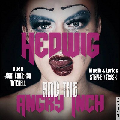 HEDWIG and the Angry Inch – Rock-Musical von John Cameron MITCHELL und Stephen TRASK in Fürth am 14.12.2023 – 19:00 Uhr