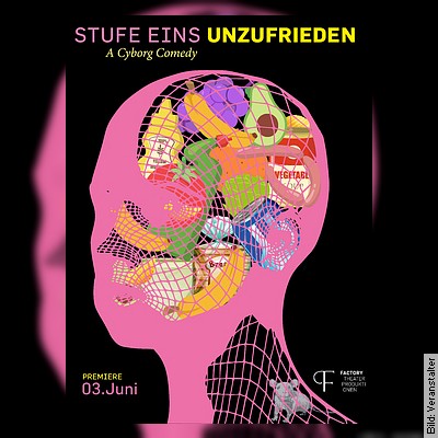 STUFE EINS UNZUFRIEDEN – A Cyborg Comedy – Von Elena Messner & Gabriele Schelle in Kiel am 04.06.2023 – 18:00 Uhr