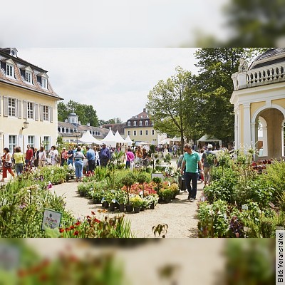 Das Gartenfest Hanau