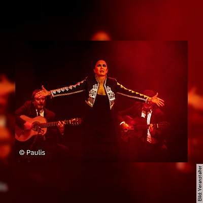 Flamenco - Antonio Andrade Quartett - VIDA - feat. Ursula Moreno