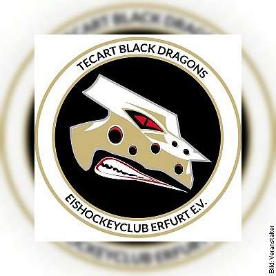 Hannover Scorpions - TecArt Black Dragons Erfurt