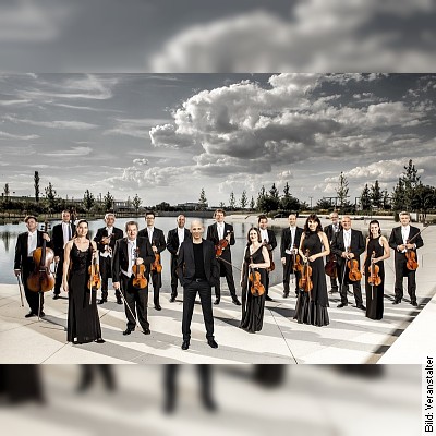 Wasserburger Rathauskonzerte 2023 – Georgisches Kammerorchester am 11.11.2023 – 20:00 Uhr