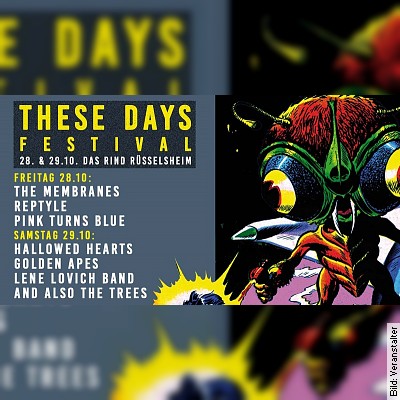 These Days Festival – The Membranes, Reptyle, Pink Turns Blue in Rüsselsheim