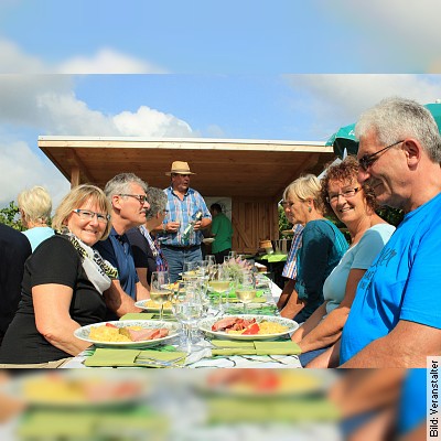 Kulinarische Weinwanderung auf dem Bad Krozinger Rebberg