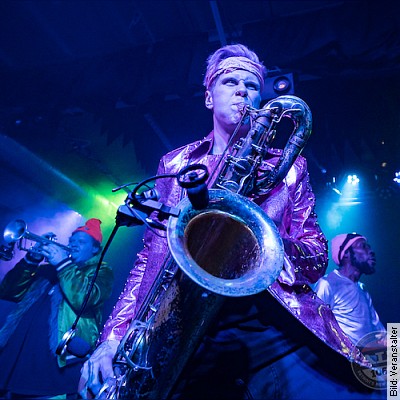 Too Many Zooz in Dresden