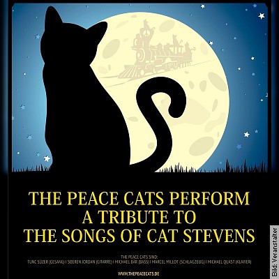 The songs of Cat Stevens – a tribute performed by the Peace Cats in Karlsruhe