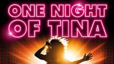 One Night of Tina - Die große Tina Turner Tribute Show