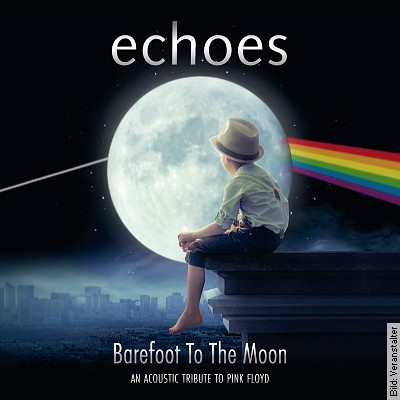Echoes – An Acoustic Tribute To Pink Floyd in Hallstadt am 15.01.2023 – 20:00 Uhr