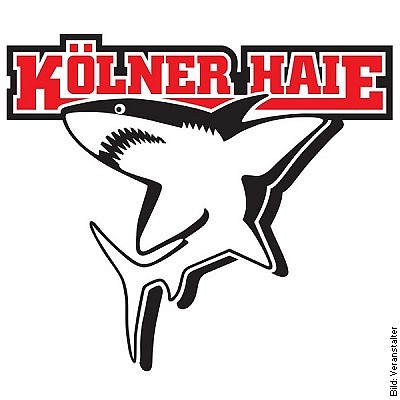 Schwenninger Wild Wings - Kölner Haie