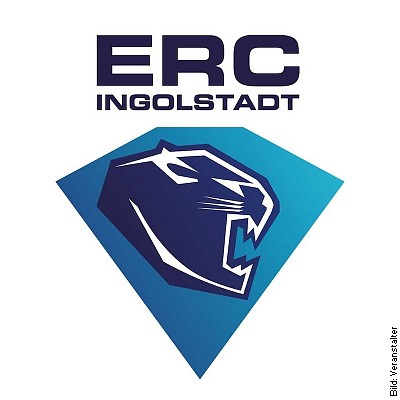 Straubing Tigers - ERC Ingolstadt