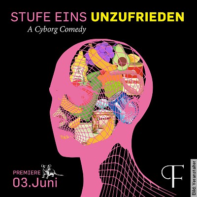 STUFE EINS UNZUFRIEDEN - A Cyborg Comedy - Von Elena Messner und Gabriele Schelle in Kiel